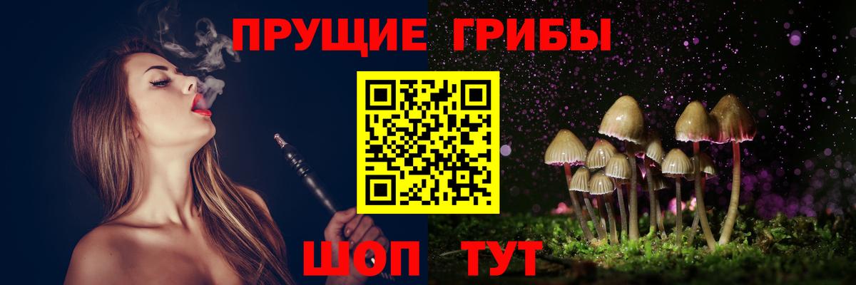 Дзержинск  Псилоцибиновые грибы мицелий  Вход с VPN 